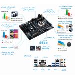 مادربرد h87-hd3