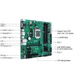 Motherboard  B360M-C Asus - تصویر 2