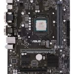 H310