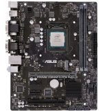H310